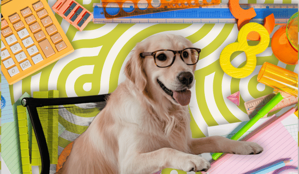 Blog Header Feb 4 (600 x 350 px)